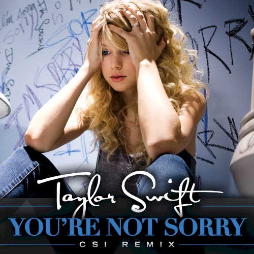 You’re Not Sorry (CSI remix)