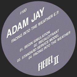 Facing Into the Weather E.P.