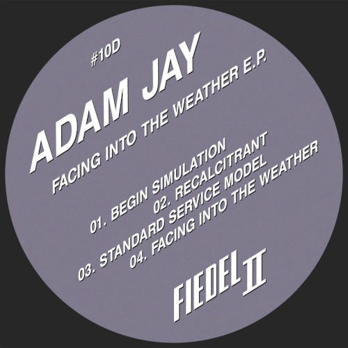 Facing Into the Weather E.P.