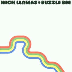 Buzzle Bee