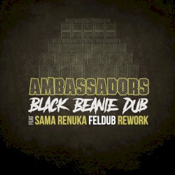 Ambassadors