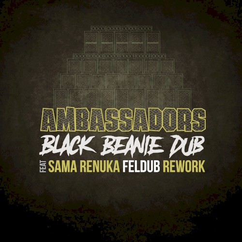 Ambassadors