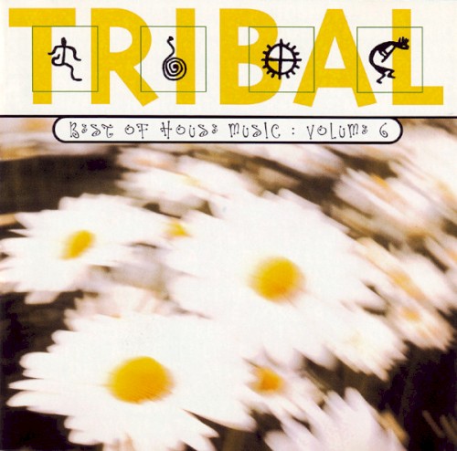 Tribal: Best of House Music, Volume 6