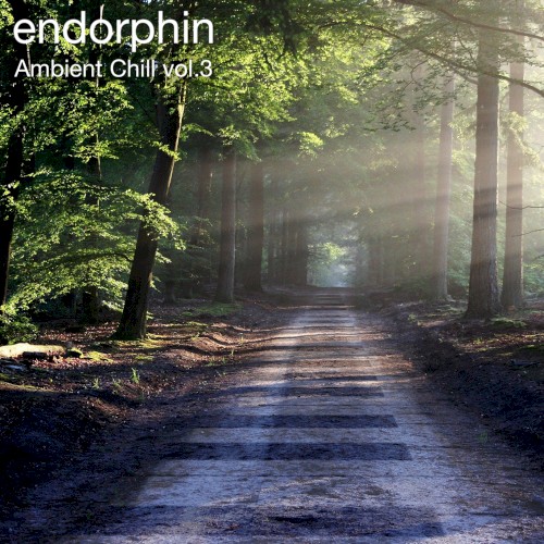 Ambient Chill Vol 3