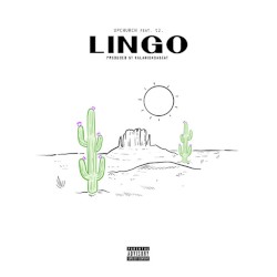 Lingo