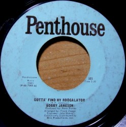 Gotta' Find My Roogalator / Lowdown Funky Blues