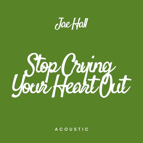 Stop Crying Your Heart Out (acoustic)
