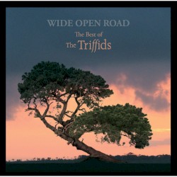 Wide Open Road: The Best of The Triffids