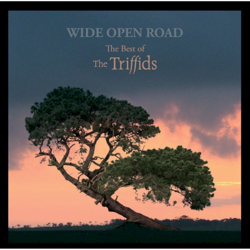 Wide Open Road: The Best of The Triffids