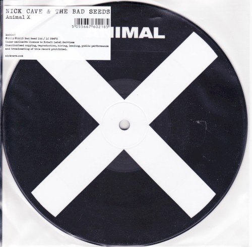 Animal X