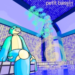 petit bassin