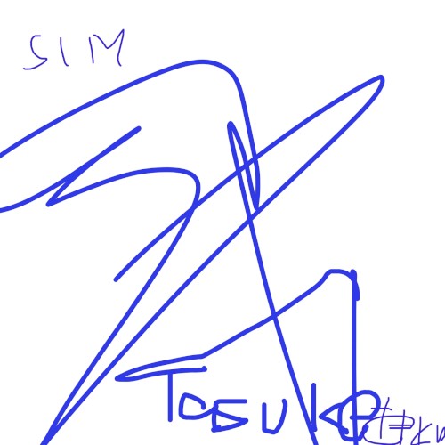Sim