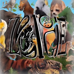Zoologie