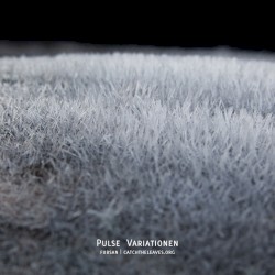 Pulse Variationen