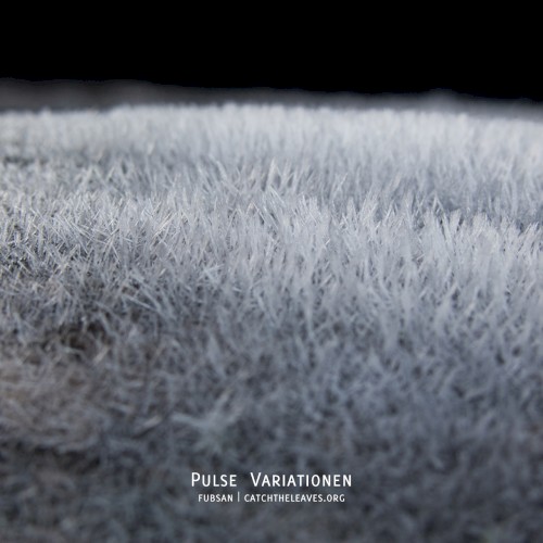Pulse Variationen
