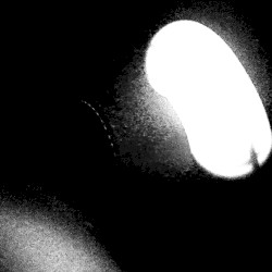experimental 1