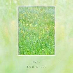 夏の日