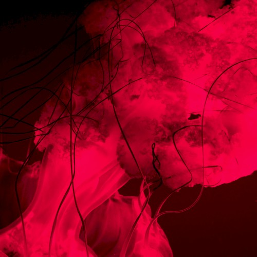 Dissociate | Larva Series 06