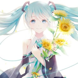 Summertime (Arrange ver.)