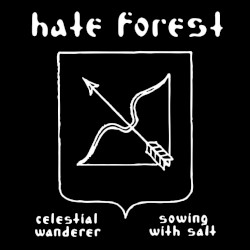 Celestial Wanderer / Sowing with Salt