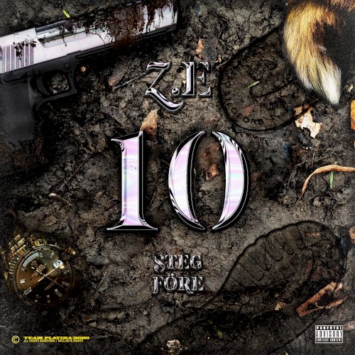 10 STEG FÖRE