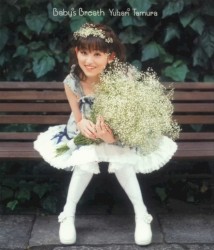 Baby's Breath