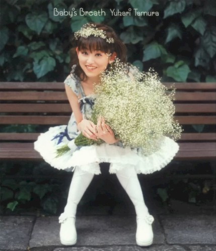 Baby's Breath