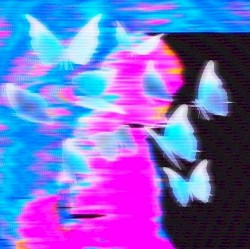 多次元の鏡