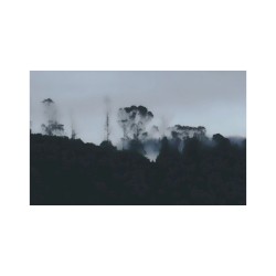 Migration