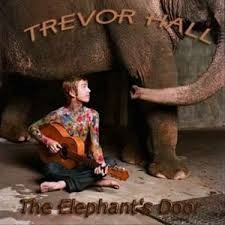 The Elephant's Door