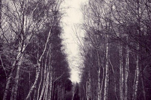 While Shadows Sweep Across the Lawn