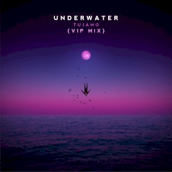 Underwater (VIP Mix)