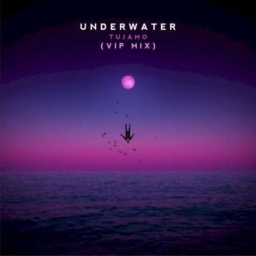 Underwater (VIP Mix)