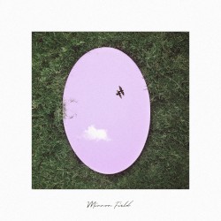 Mirror Field