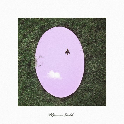 Mirror Field