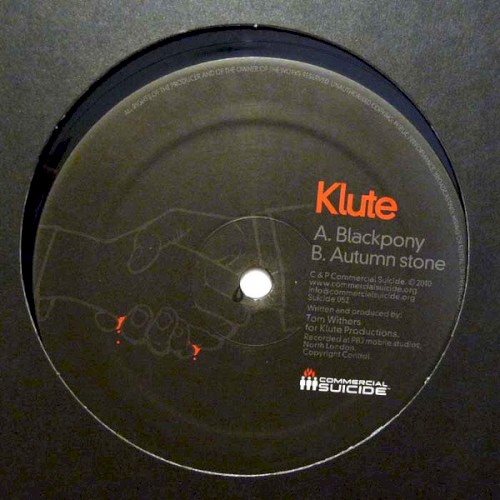 Blackpony / Autumn Stone