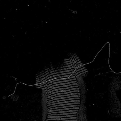 Banshee