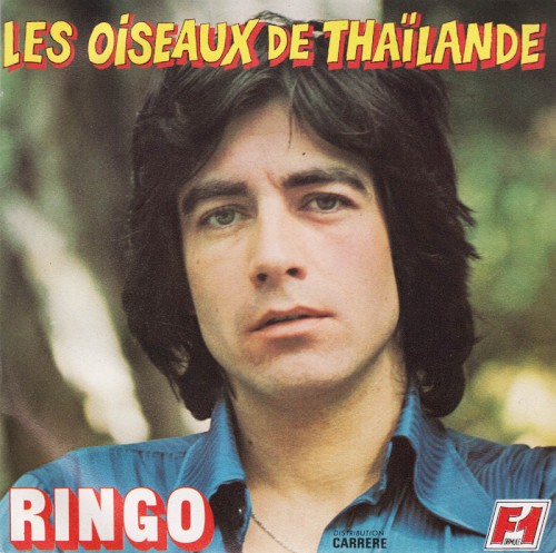 Les oiseaux de Thaïlande