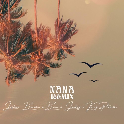 Nana (Remix)