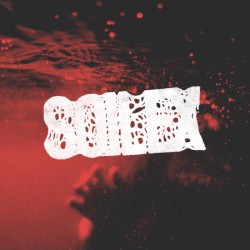 Soilex