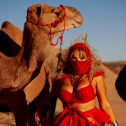 Hot Habibi