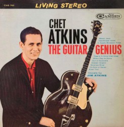 The Guitar Genius