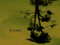 Kavanak