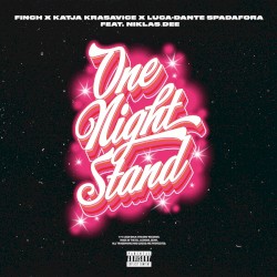 ONE NiGHT STAND (ONS)