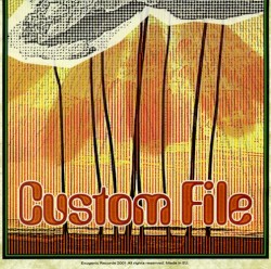 Custom File