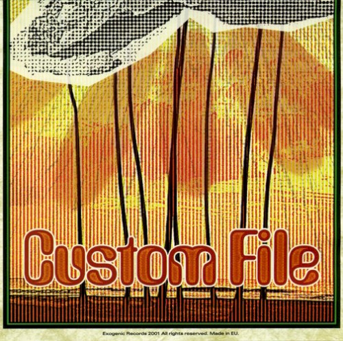 Custom File