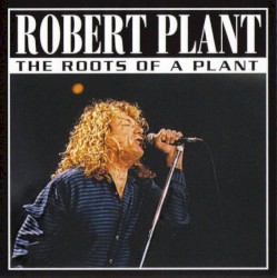 2001-05-31: The Roots of a Plant: Live in New York