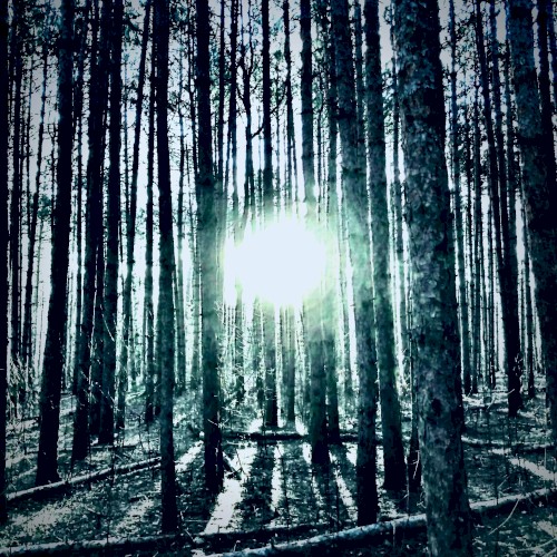 Ode to the Night