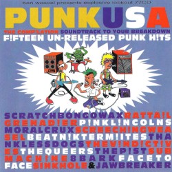 Punk USA: The Compilation Soundtrack to Your Breakdown