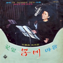 The Psychedelic Sound 싸이키데릭 싸운드